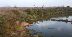 Cel mai mare parc natural din Senegal, retras de pe Lista Patrimoniului Mondial în Pericol a UNESCO – VIDEO