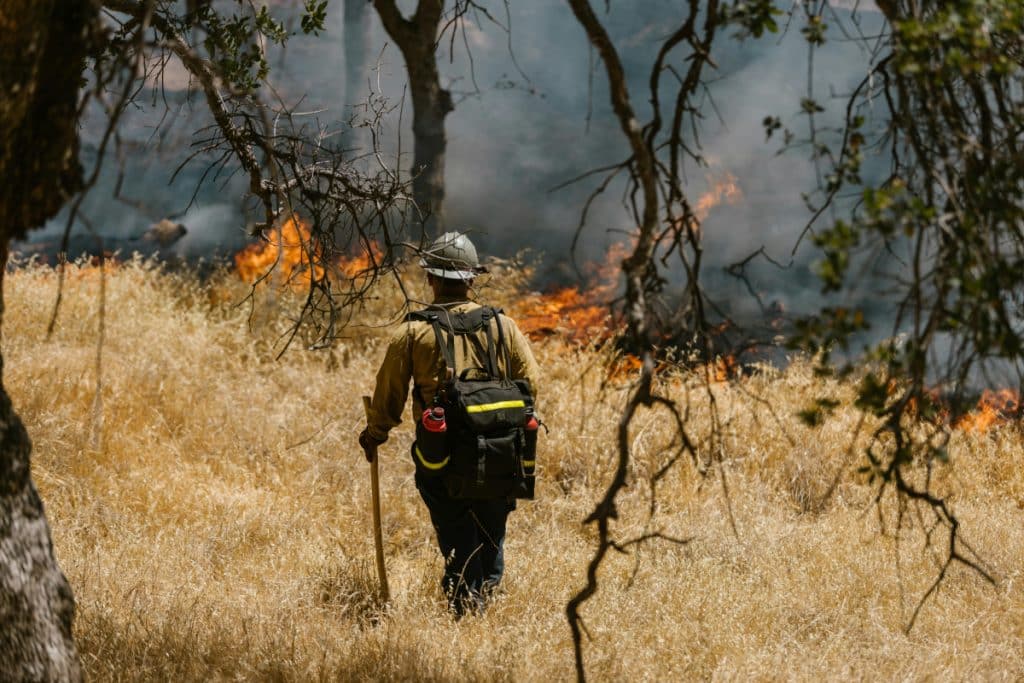 Peste 3.500 de persoane, evacuate din calea flăcărilor. Megaincendiu în California