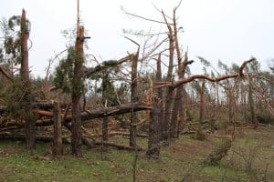 Taifun în Japonia. Autoritățile au emis cel mai înalt nivel de alertă