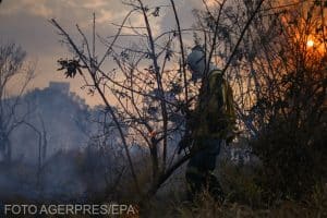 2-5% din PIB — costul luptei cu schimbările climatice