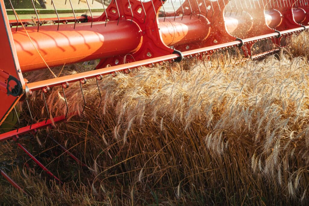 Exporturile de cereale rusești către Siria, suspendate. Motivul, expus de surse ale Reuters