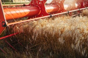 Exporturile de cereale rusești către Siria, suspendate. Motivul, expus de surse ale Reuters