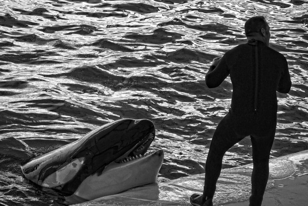 Activistul canadian, Paul Watson, ”apărătorul balenelor”, eliberat din închisoare