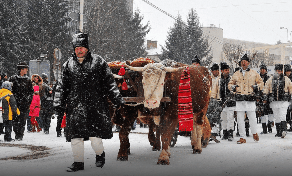 Obiceiuri înainte și după Anul Nou. Originea și semnificația Plugușorului – 60m.ro