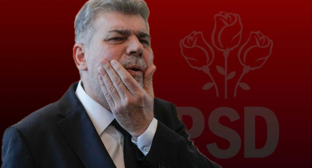 WhatsApp Image 2024-12-15 at 18.36.01