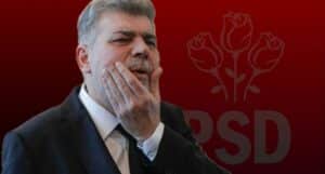 WhatsApp Image 2024-12-15 at 18.36.01