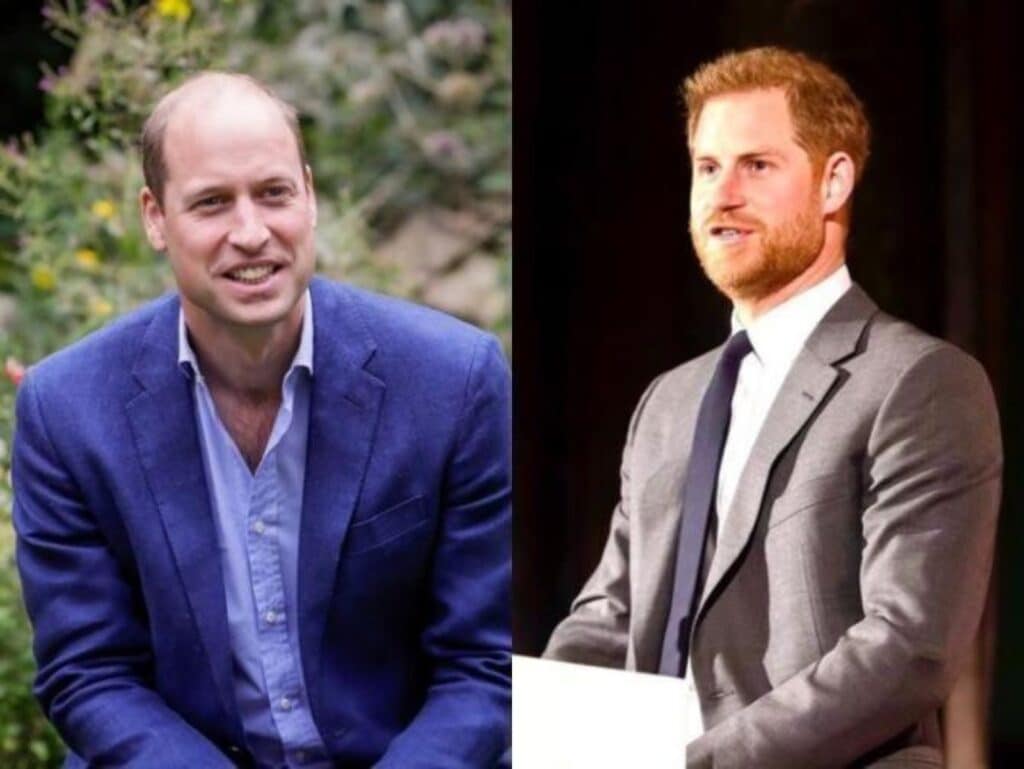 Scrisoarea tristă a Prințesei Diana care arată cum erau de fapt Harry și William înainte de ceartă. Fiul de care ar fi acum mândru