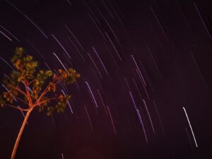 Eveniment extrem de rar, prin lentila camerelor de supraveghere. Un meteorit s-a prăbușit într-o curte din Canada