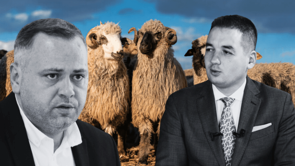 Incompetența conducerii ANSVSA pune în pericol încă odată fermierul român crescător de ovine. Ciracii Sistemului exportă Pesta Micilor Rumegătoare în Ungaria – 60m.ro