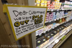 Penurie de ouă în SUA. Guvernul american a pornit o adevărată vânătoare în țările europene
