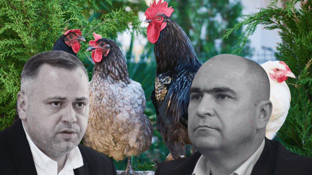 În atenția ”găinarilor” de la București: Românii trebuie lăsați să crească câte animale doresc – 60m.ro