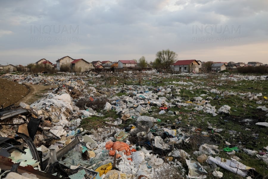 Ilfovul, plin de gunoaie! Autoritățile nu își fac treaba – 60m.ro